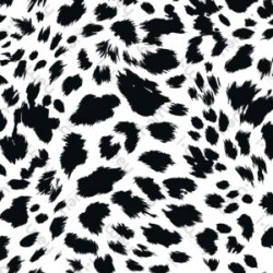 Estampado Jeraldine