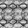 Estampado Snake black & white