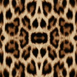 Estampado Jaguar