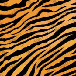Estampado Cios