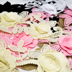 Aplicación Gardenia