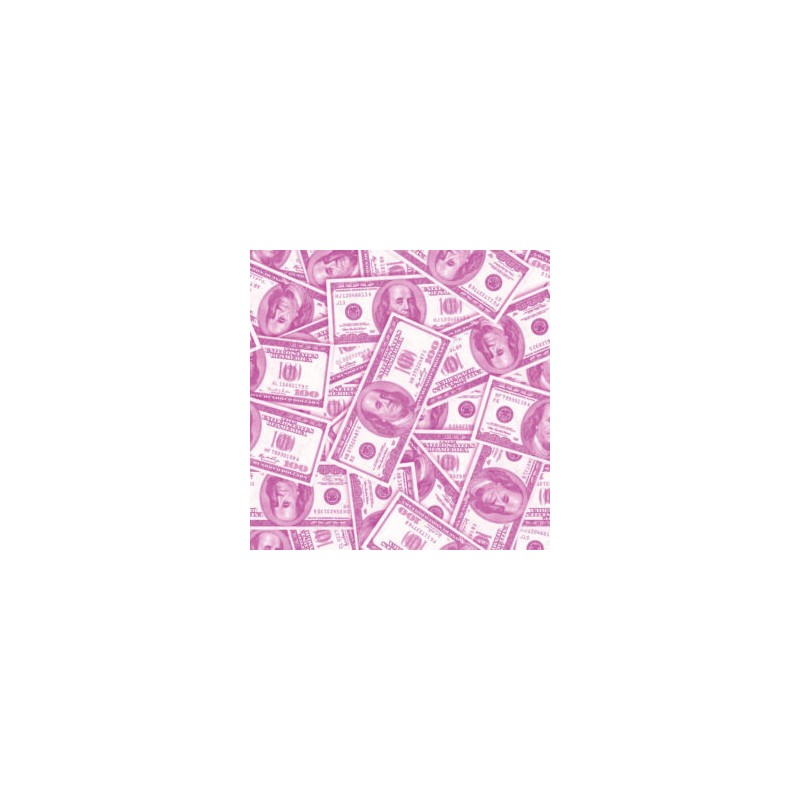 Estampado Pink Dolar