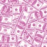Estampado Pink Dolar