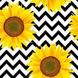 Estampado Girasoles con Grecas