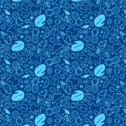 Estampado Fiesta 4