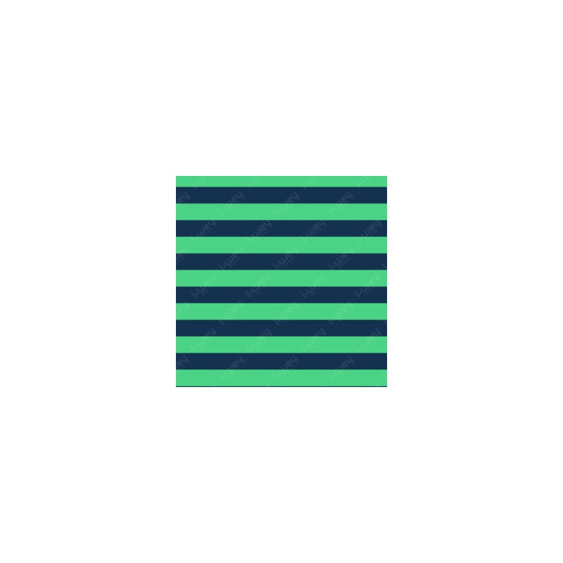 Estampado Rayas Nery